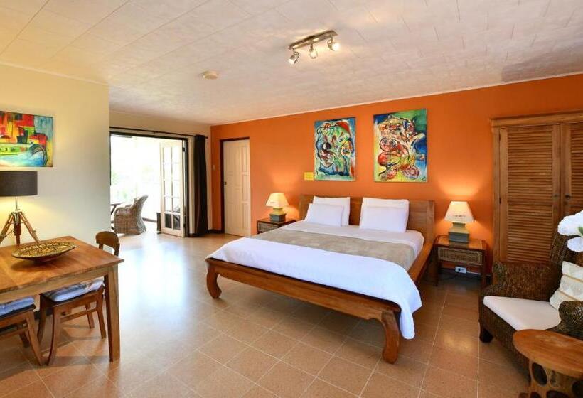 اتاق سوپریور با تخت بزرگ, Wonders Boutique