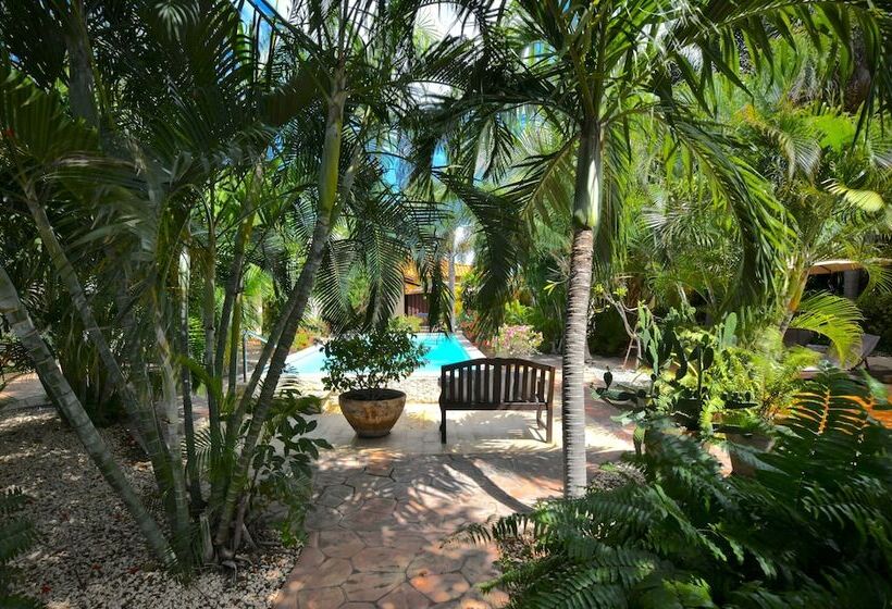 اتاق سوپریور با تخت بزرگ, Wonders Boutique