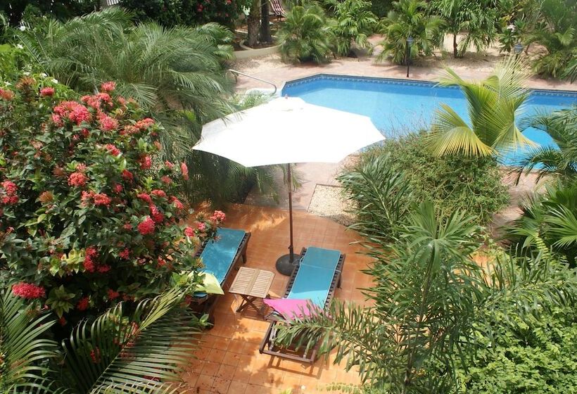 اتاق سوپریور با تخت بزرگ, Wonders Boutique