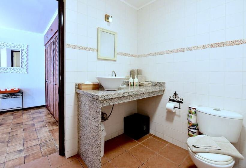 اتاق سوپریور با تخت بزرگ, Wonders Boutique