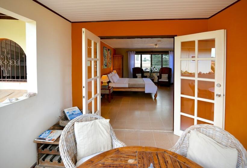 اتاق سوپریور با تخت بزرگ, Wonders Boutique