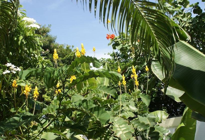 اتاق لوکس با تخت بزرگ, Wonders Boutique