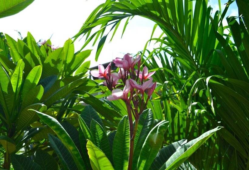 اتاق لوکس با تخت بزرگ, Wonders Boutique