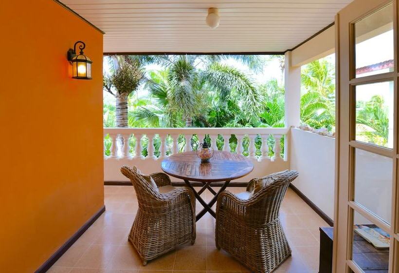 اتاق سوپریور با تخت بزرگ, Wonders Boutique