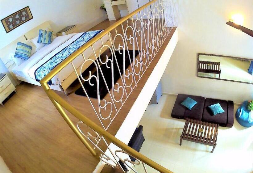 高级大房间, Wtf My House