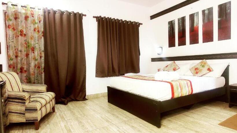 豪华房间, Wtf My House