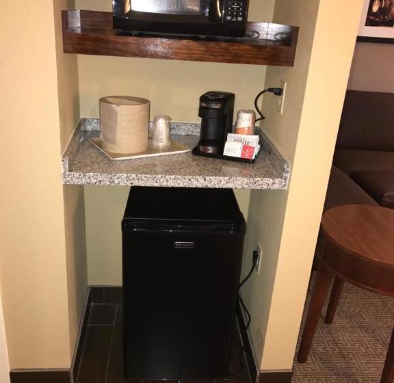 سوئیت با تخت بزرگ, Comfort Suites   Dodge City