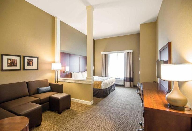 سوئیت با تخت بزرگ, Comfort Suites   Dodge City
