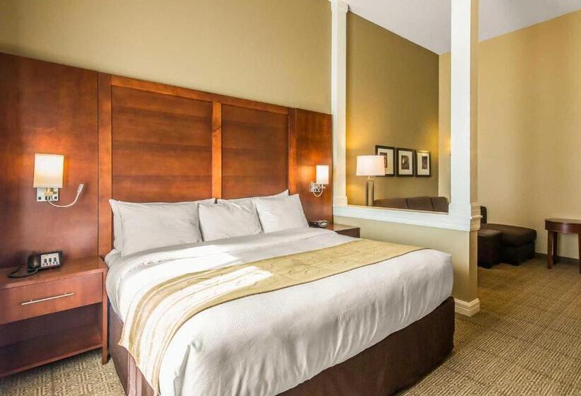 سوئیت با تخت بزرگ, Comfort Suites   Dodge City