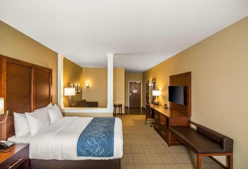 سوئیت با تخت بزرگ, Comfort Suites   Dodge City