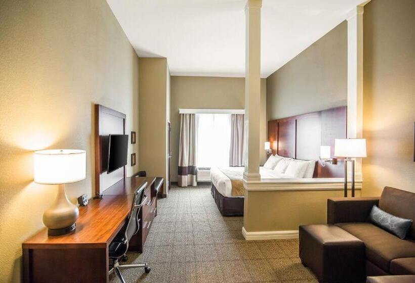 سوئیت با تخت بزرگ, Comfort Suites   Dodge City