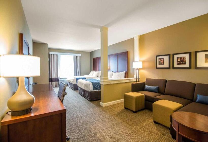 Люкс, Comfort Suites   Dodge City