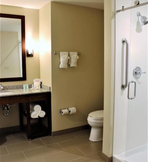 سوئیت با تخت بزرگ, Comfort Suites   Dodge City