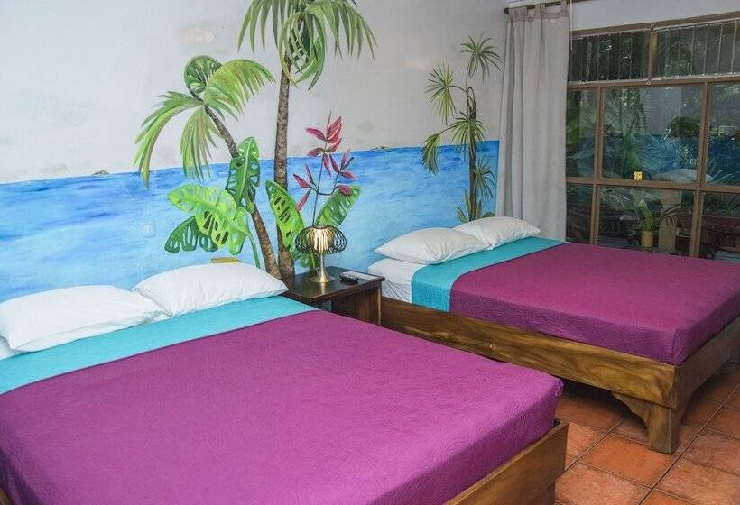 컴포트 룸, Jungle Beach Hotel Manuel Antonio