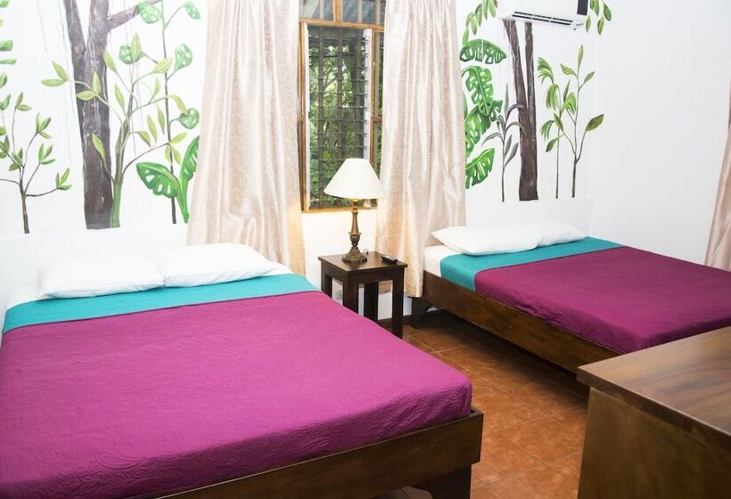 اتاق راحتی, Jungle Beach Hotel Manuel Antonio