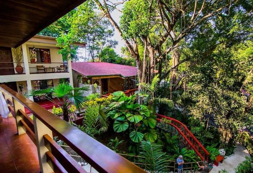 컴포트 룸, Jungle Beach Hotel Manuel Antonio