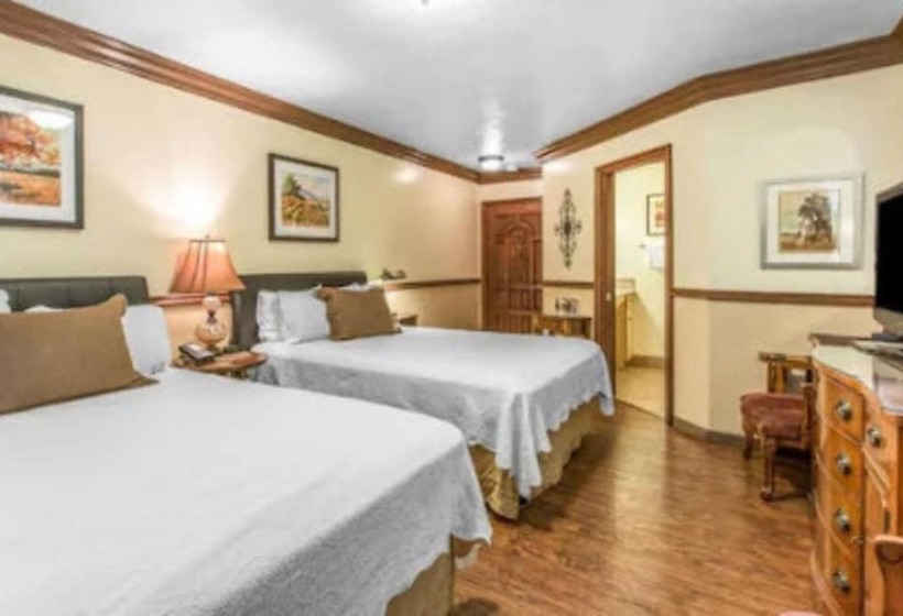 标准间, The M Solvang