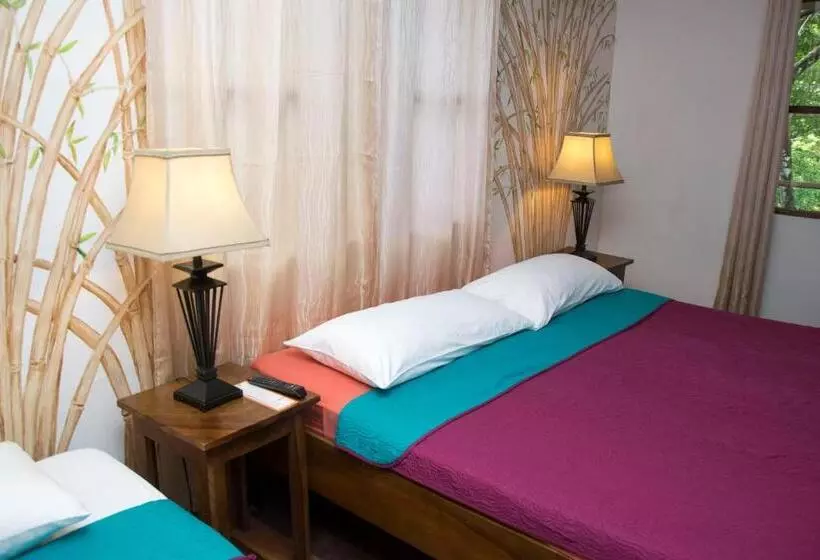 キングサイズベッドのスタンダードルーム, Jungle Beach Hotel Manuel Antonio
