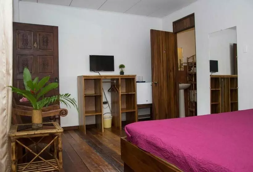 キングサイズベッドのスタンダードルーム, Jungle Beach Hotel Manuel Antonio