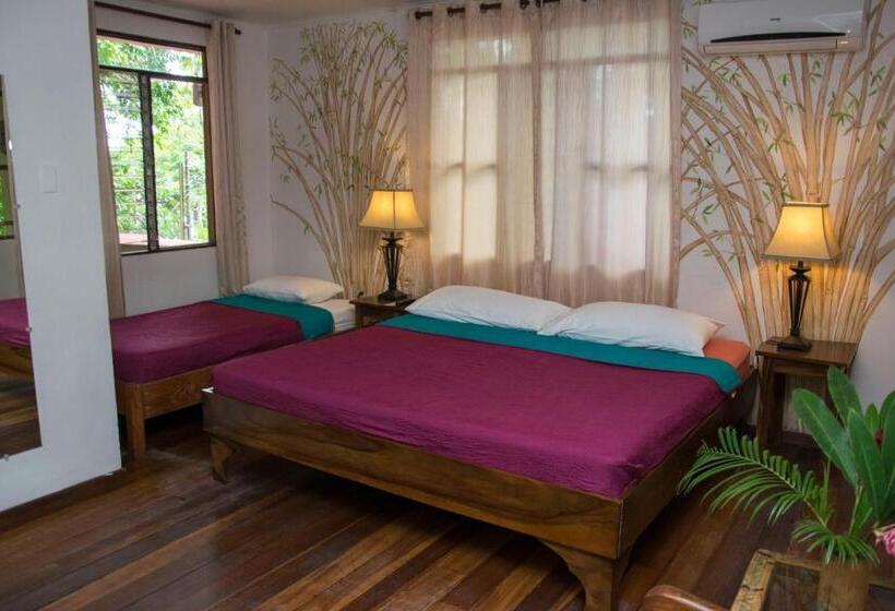 스탠다드 룸 킹사이즈 침대, Jungle Beach Hotel Manuel Antonio