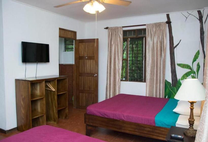 컴포트 룸, Jungle Beach Hotel Manuel Antonio