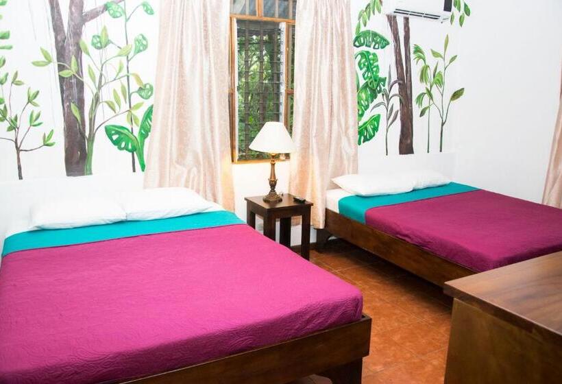 컴포트 룸, Jungle Beach Hotel Manuel Antonio