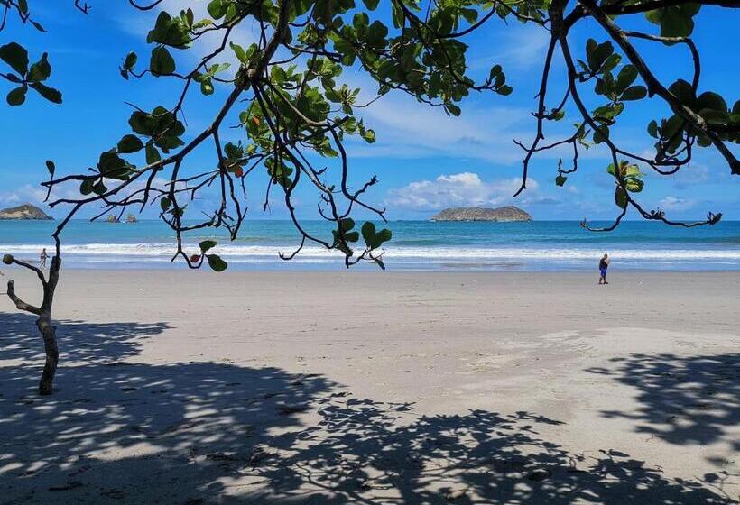 컴포트 룸, Jungle Beach Hotel Manuel Antonio