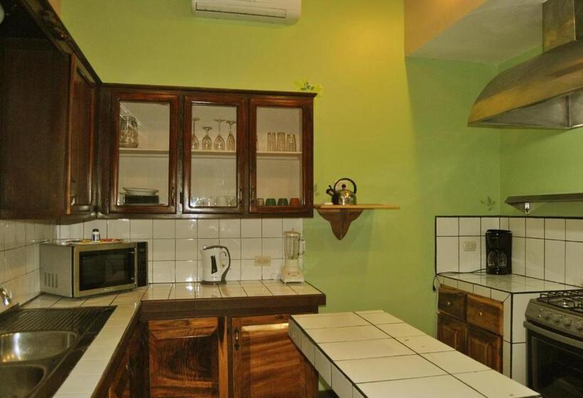 스위트, Jungle Beach Hotel Manuel Antonio