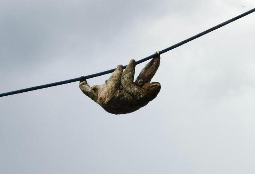 스위트, Jungle Beach Hotel Manuel Antonio