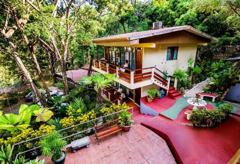 اتاق راحتی, Jungle Beach Hotel Manuel Antonio