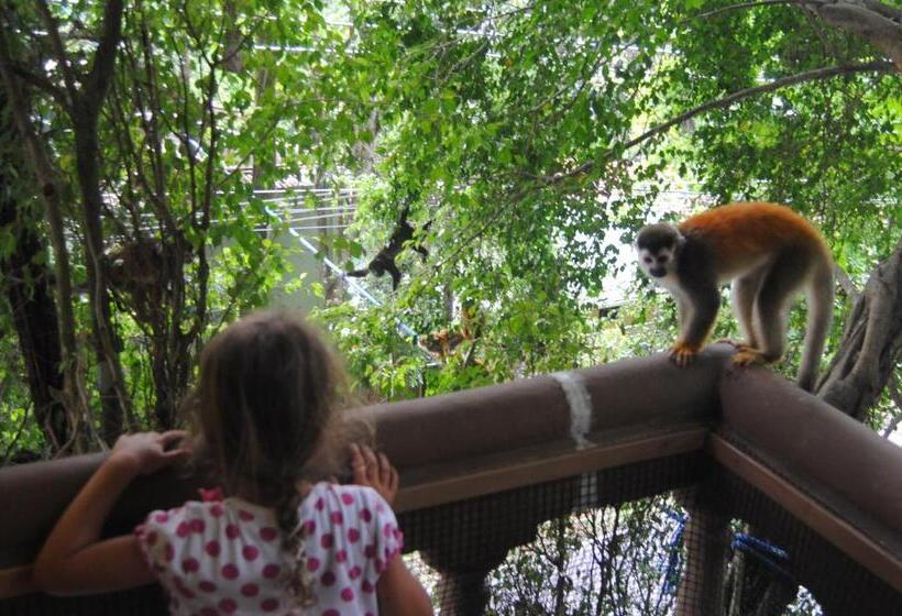 스위트, Jungle Beach Hotel Manuel Antonio