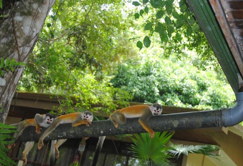 ویلای 1 خوابه, Jungle Beach Hotel Manuel Antonio
