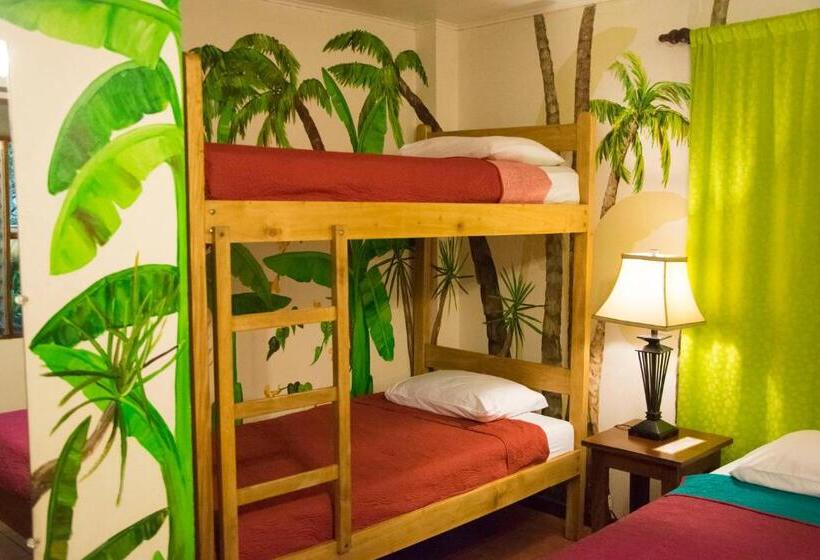 스탠다드 룸 킹사이즈 침대, Jungle Beach Hotel Manuel Antonio