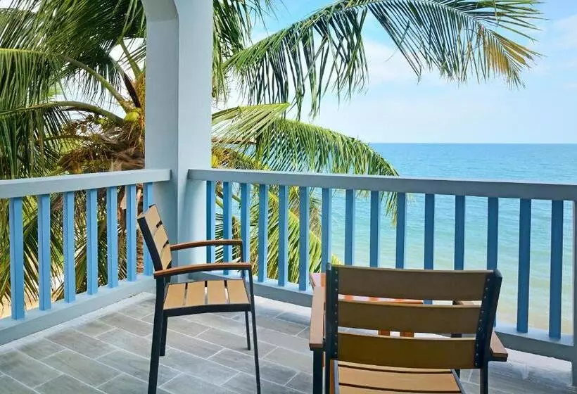 سوییت جونیور با چشم‌انداز دریا, Parrot Cove Lodge