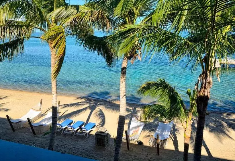 اتاق لوکس با بالکن و چشم‌انداز دریا, Parrot Cove Lodge
