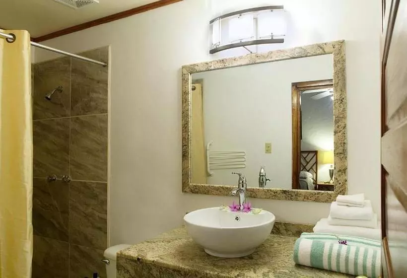 اتاق استاندارد سه تخته با چشم‌انداز استخر, Parrot Cove Lodge