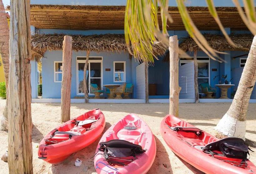 سوییت جونیور با چشمانداز دریا, Parrot Cove Lodge