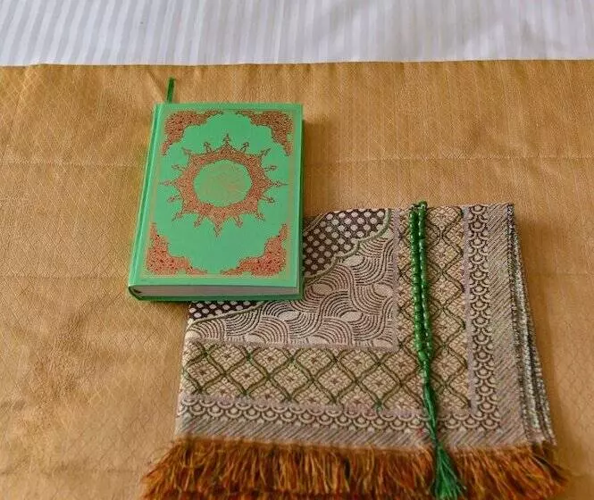 Chambre Standard, Ural Tau