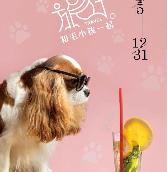 חדר סטנדרט, Chiayi Guanzhi