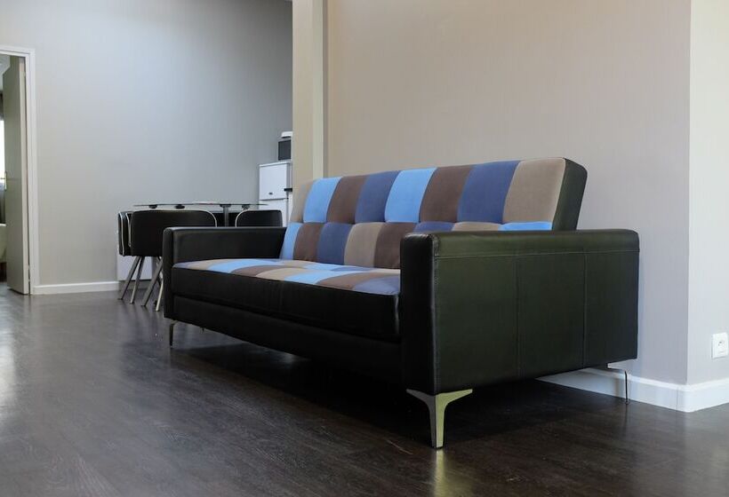 شقة غرفة واحدة, De France