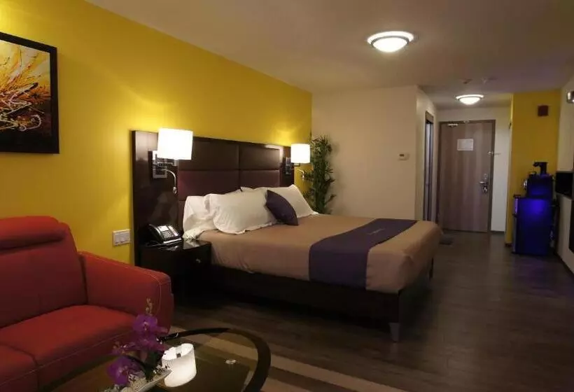 キングサイズベッドのスイートルーム, Dreamz Inn