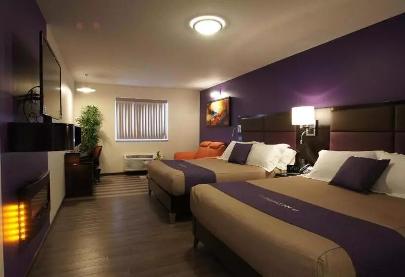 スイート, Dreamz Inn