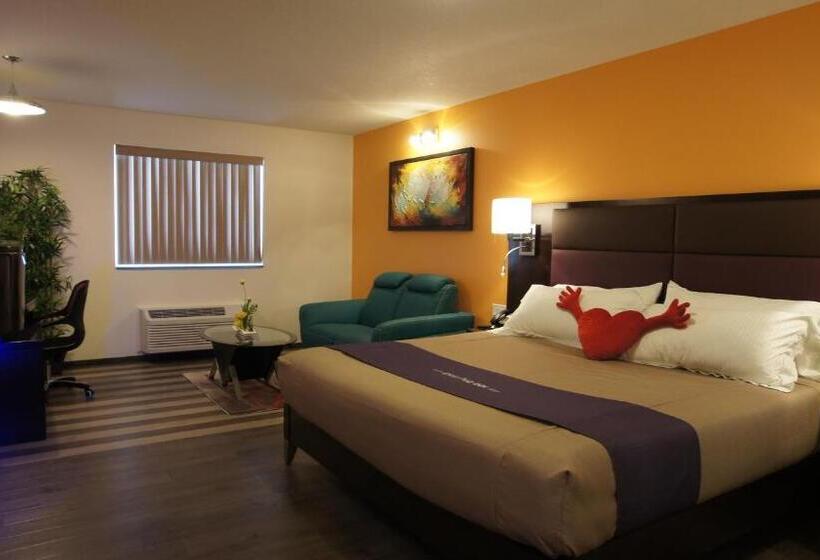 Suite King Size Bed, Dreamz Inn