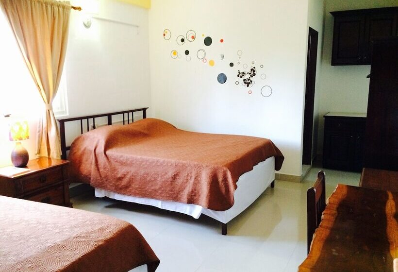 غرفة قياسية, Easy Inn