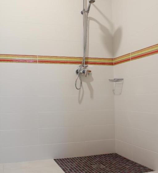 شقة غرفة واحدة, De France