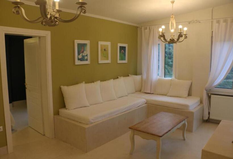 Superior suite with view, Kelyfos