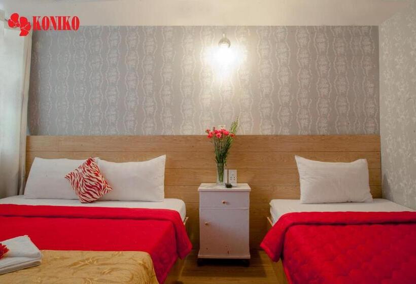 اتاق استاندارد, Koniko