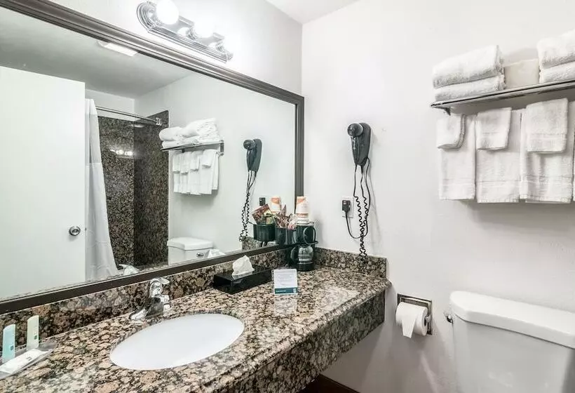 Standard-huone 2 Parivuodetta, Quality Inn & Suites Near Downtown Bakersfield
