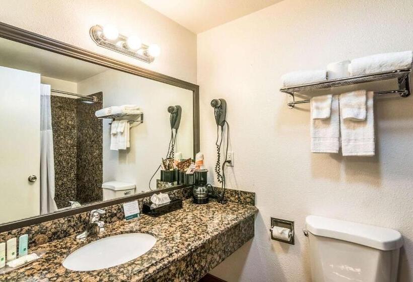 غرفة قياسية سرير كينج, Quality Inn & Suites Near Downtown Bakersfield