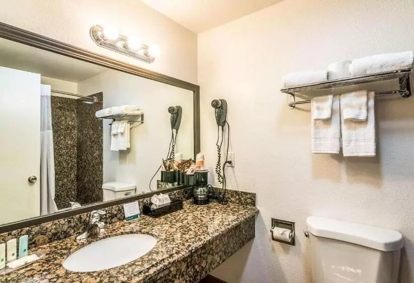 Standard-huone King-vuode, Quality Inn & Suites Near Downtown Bakersfield